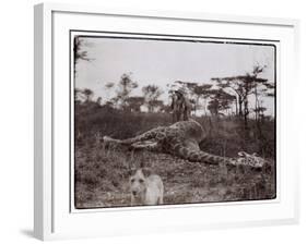 Ugigi, Belgian Congo, c.1910-null-Framed Giclee Print