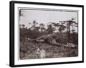 Ugigi, Belgian Congo, c.1910-null-Framed Giclee Print