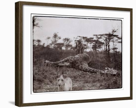 Ugigi, Belgian Congo, c.1910-null-Framed Giclee Print