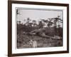 Ugigi, Belgian Congo, c.1910-null-Framed Giclee Print