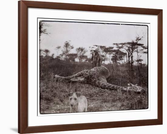 Ugigi, Belgian Congo, c.1910-null-Framed Giclee Print