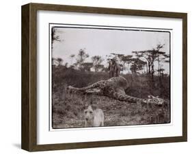 Ugigi, Belgian Congo, c.1910-null-Framed Giclee Print