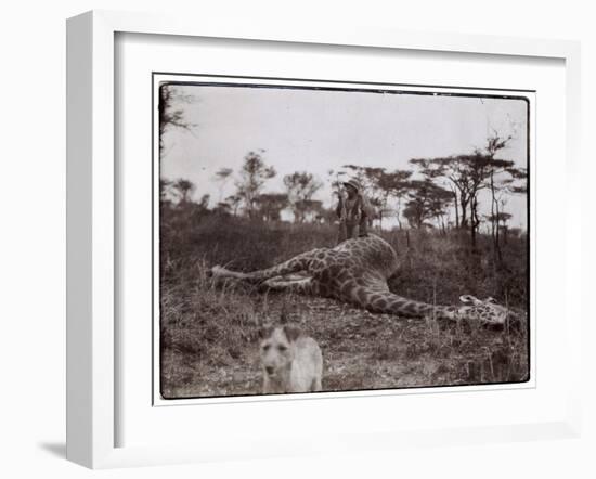 Ugigi, Belgian Congo, c.1910-null-Framed Giclee Print