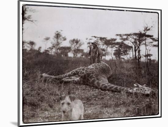 Ugigi, Belgian Congo, c.1910-null-Mounted Giclee Print