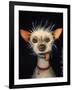 Ugly Dog-Leah Saulnier-Framed Giclee Print