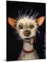 Ugly Dog-Leah Saulnier-Mounted Giclee Print