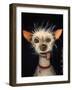 Ugly Dog-Leah Saulnier-Framed Giclee Print