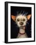 Ugly Dog-Leah Saulnier-Framed Giclee Print
