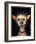 Ugly Dog-Leah Saulnier-Framed Premium Giclee Print