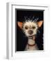 Ugly Dog-Leah Saulnier-Framed Premium Giclee Print