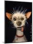 Ugly Dog-Leah Saulnier-Mounted Premium Giclee Print