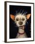 Ugly Dog-Leah Saulnier-Framed Giclee Print