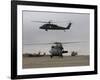 UH-60 Black Hawks Taxis Out for a Mission over Northern Iraq-null-Framed Photographic Print