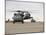 UH-60 Black Hawks Taxis Out for a Mission over Northern Iraq-null-Mounted Photographic Print