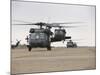 UH-60 Black Hawks Taxis Out for a Mission over Northern Iraq-null-Mounted Photographic Print