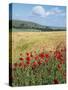 UK Corn Fields and Poppies on South Downs-null-Stretched Canvas