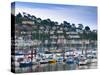 UK, Devon, Kingswear from Dartmouth, River Dart-Alan Copson-Stretched Canvas