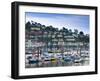 UK, Devon, Kingswear from Dartmouth, River Dart-Alan Copson-Framed Photographic Print