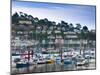 UK, Devon, Kingswear from Dartmouth, River Dart-Alan Copson-Mounted Photographic Print