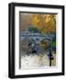 UK, England, Cambridge, the Backs, Clare and King's College Bridges over River Cam in Autumn-Alan Copson-Framed Photographic Print