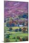 UK, England, Cumbria, Lake District, Borrowdale on south bank of Derwentwater-Alan Copson-Mounted Photographic Print