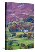 UK, England, Cumbria, Lake District, Borrowdale on south bank of Derwentwater-Alan Copson-Stretched Canvas