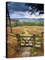 UK, England, Derbyshire, Peak District National Park, from Stanage Edge-Alan Copson-Stretched Canvas