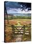 UK, England, Derbyshire, Peak District National Park, from Stanage Edge-Alan Copson-Stretched Canvas