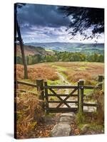 UK, England, Derbyshire, Peak District National Park, from Stanage Edge-Alan Copson-Stretched Canvas