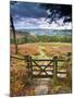 UK, England, Derbyshire, Peak District National Park, from Stanage Edge-Alan Copson-Mounted Photographic Print