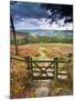 UK, England, Derbyshire, Peak District National Park, from Stanage Edge-Alan Copson-Mounted Photographic Print