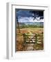 UK, England, Derbyshire, Peak District National Park, from Stanage Edge-Alan Copson-Framed Photographic Print