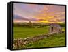 UK, England, Derbyshire, Peak District National Park, River Manifold Valley Near Ilam,Dry Stone Wal-Alan Copson-Framed Stretched Canvas