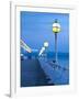 UK, England, Devon, Torbay, Torquay, Torquay Princess Pier-Alan Copson-Framed Photographic Print