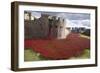 Uk, England, London. Blood Swept Lands and Seas of Red-Katie Garrod-Framed Photographic Print