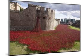 Uk, England, London. Blood Swept Lands and Seas of Red-Katie Garrod-Mounted Photographic Print