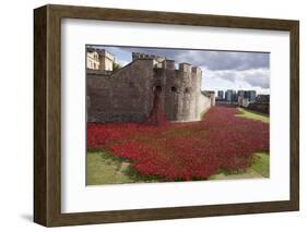 Uk, England, London. Blood Swept Lands and Seas of Red-Katie Garrod-Framed Photographic Print