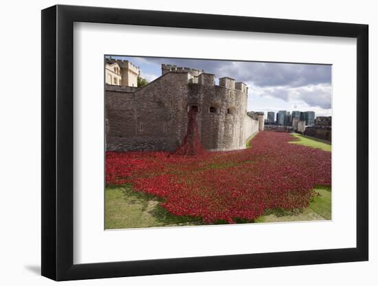 Uk, England, London. Blood Swept Lands and Seas of Red-Katie Garrod-Framed Photographic Print