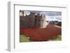 Uk, England, London. Blood Swept Lands and Seas of Red-Katie Garrod-Framed Photographic Print