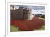 Uk, England, London. Blood Swept Lands and Seas of Red-Katie Garrod-Framed Photographic Print