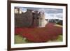 Uk, England, London. Blood Swept Lands and Seas of Red-Katie Garrod-Framed Photographic Print