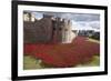 Uk, England, London. Blood Swept Lands and Seas of Red-Katie Garrod-Framed Photographic Print