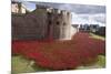Uk, England, London. Blood Swept Lands and Seas of Red-Katie Garrod-Mounted Photographic Print