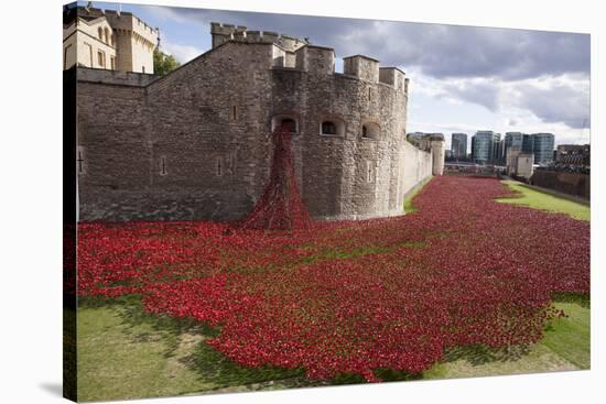 Uk, England, London. Blood Swept Lands and Seas of Red-Katie Garrod-Stretched Canvas