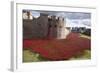Uk, England, London. Blood Swept Lands and Seas of Red-Katie Garrod-Framed Photographic Print