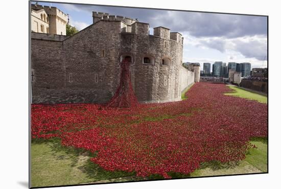 Uk, England, London. Blood Swept Lands and Seas of Red-Katie Garrod-Mounted Photographic Print