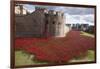 Uk, England, London. Blood Swept Lands and Seas of Red-Katie Garrod-Framed Photographic Print