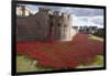 Uk, England, London. Blood Swept Lands and Seas of Red-Katie Garrod-Framed Photographic Print