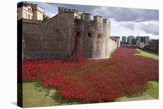 Uk, England, London. Blood Swept Lands and Seas of Red-Katie Garrod-Stretched Canvas