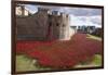 Uk, England, London. Blood Swept Lands and Seas of Red-Katie Garrod-Framed Premium Photographic Print